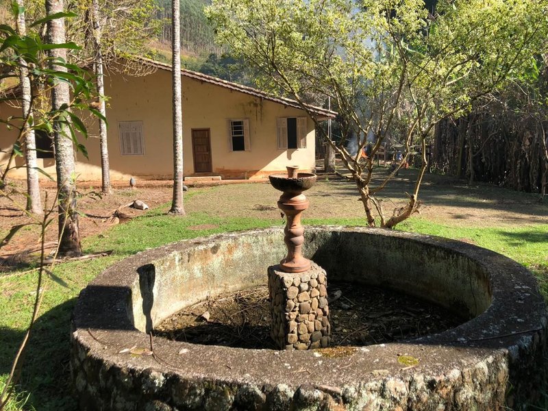FAZENDA COM 52 ALQUEIRES EM ROSEIRA, S.P - ROSEIRA - 