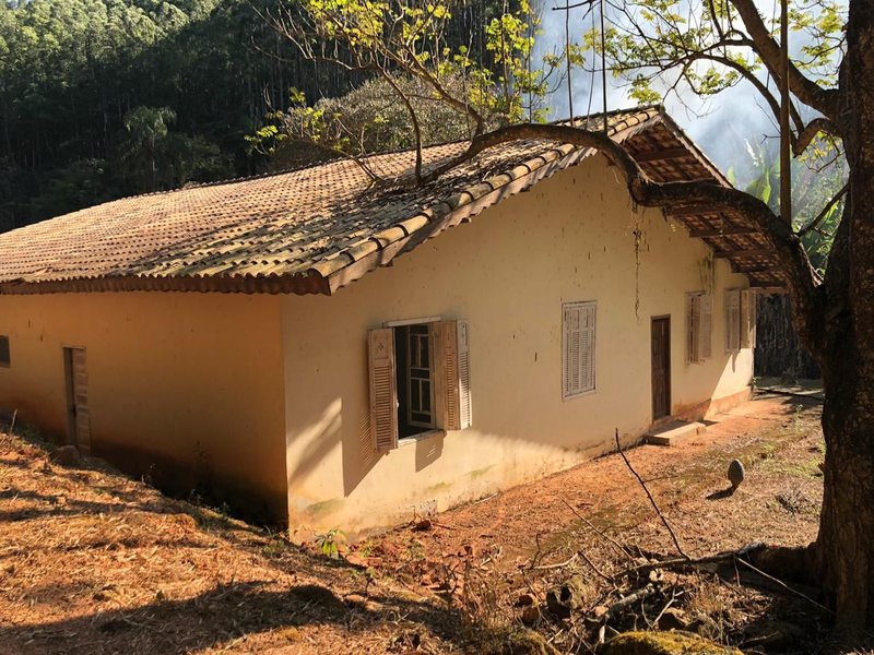 FAZENDA COM 52 ALQUEIRES EM ROSEIRA, S.P - ROSEIRA - 