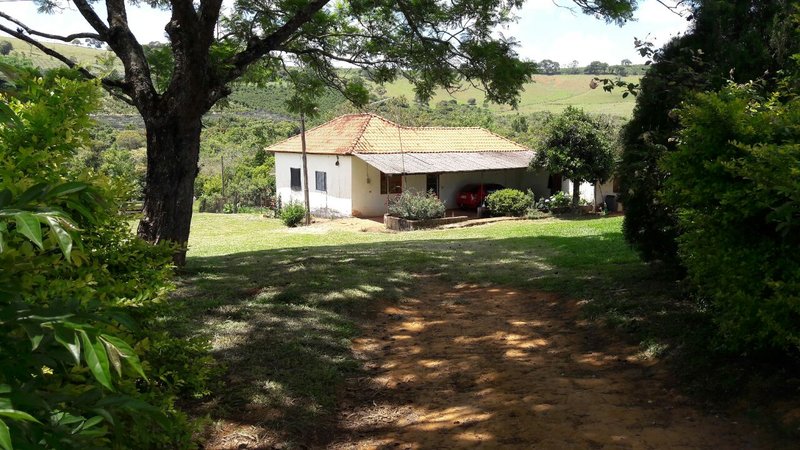 FAZENDA COM 81,6  ALQUEIRES NA REGIÃO DE TURVOLANDIA, M.G - TURVOLANDIA - 