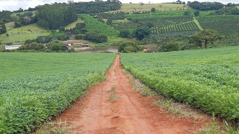 FAZENDA COM 81,6  ALQUEIRES NA REGIÃO DE TURVOLANDIA, M.G - TURVOLANDIA - 