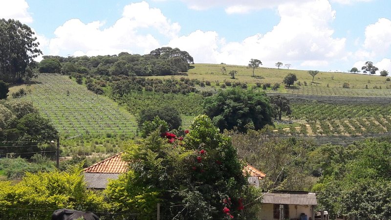 FAZENDA COM 81,6  ALQUEIRES NA REGIÃO DE TURVOLANDIA, M.G - TURVOLANDIA - 
