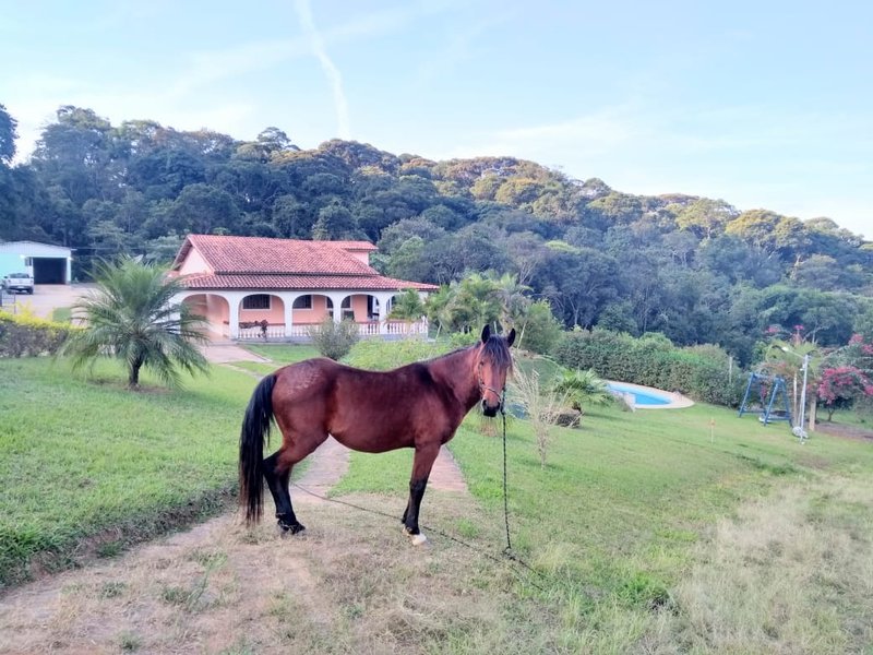 SÍTIO COM 8 ALQUEIRES DE PORTEIRA FECHADA EM TURVOLANDIA, M.G - TURVOLANDIA - 
