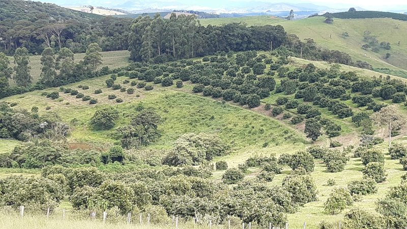 SÍTIO COM 8 ALQUEIRES DE PORTEIRA FECHADA EM TURVOLANDIA, M.G - TURVOLANDIA - 