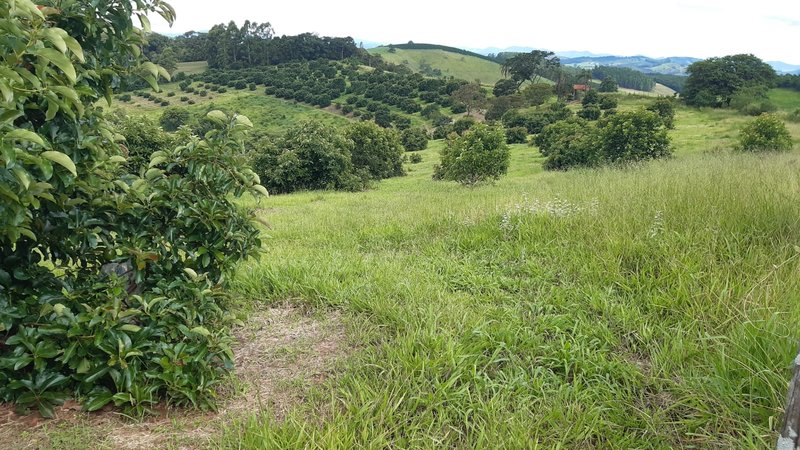 SÍTIO COM 8 ALQUEIRES DE PORTEIRA FECHADA EM TURVOLANDIA, M.G - TURVOLANDIA - 