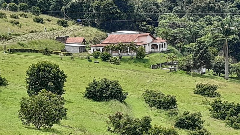 SÍTIO COM 8 ALQUEIRES DE PORTEIRA FECHADA EM TURVOLANDIA, M.G - TURVOLANDIA - 