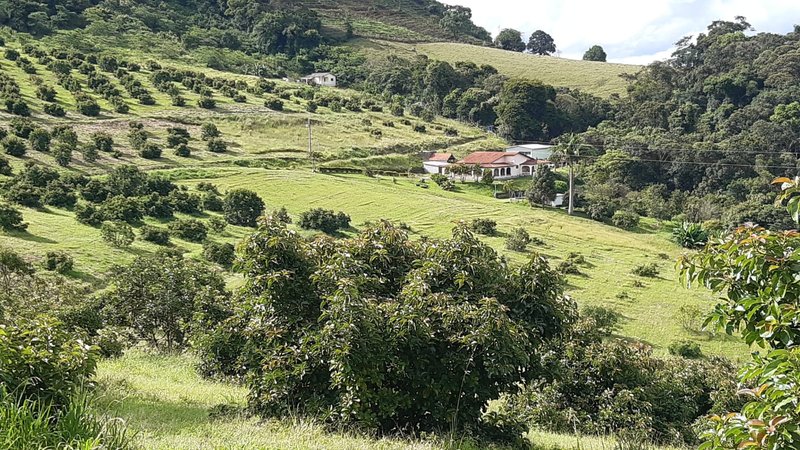 SÍTIO COM 8 ALQUEIRES DE PORTEIRA FECHADA EM TURVOLANDIA, M.G - TURVOLANDIA - 