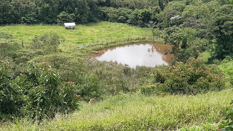 SÍTIO COM 8 ALQUEIRES DE PORTEIRA FECHADA EM TURVOLANDIA, M.G - TURVOLANDIA - 