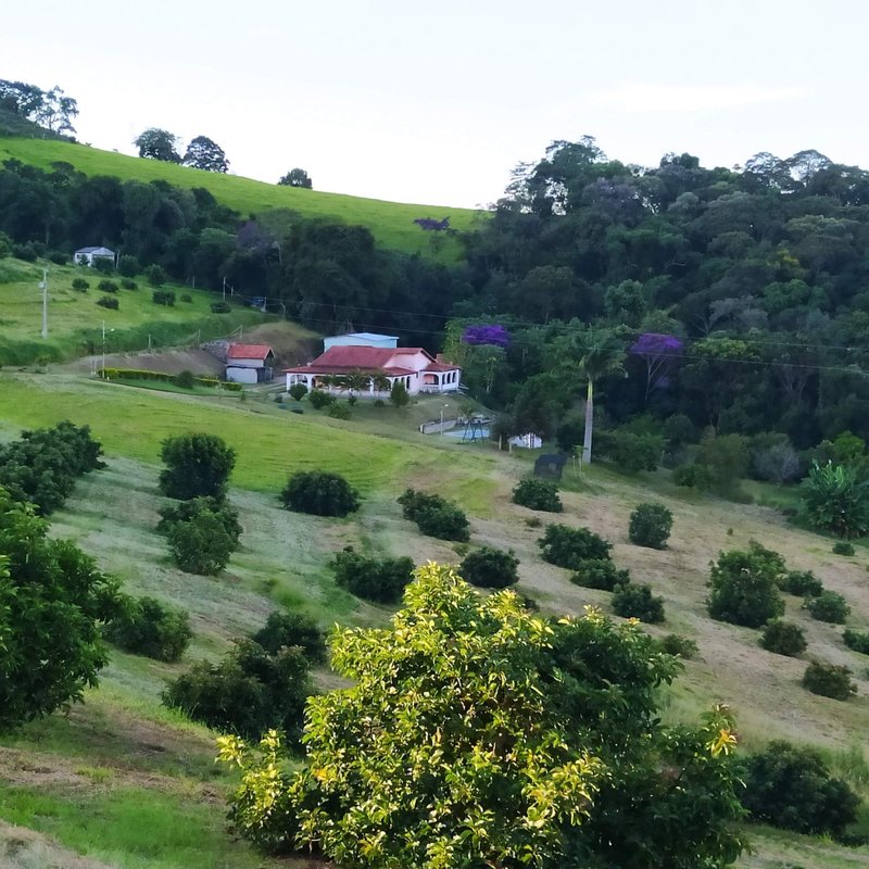 SÍTIO COM 8 ALQUEIRES DE PORTEIRA FECHADA EM TURVOLANDIA, M.G - TURVOLANDIA - 