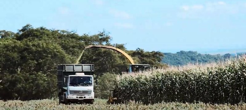 FAZENDA COM 3.363,80 HECTARES NA REGIÃO DE RIO CLARO, M.G - Carmo do Rio Claro - 