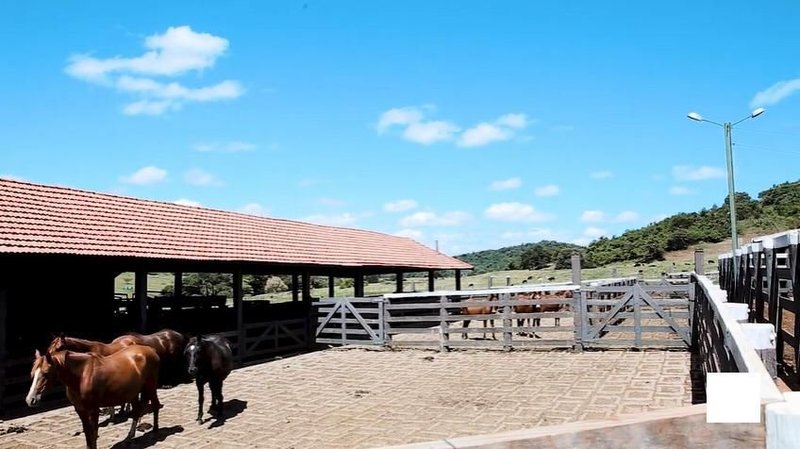 FAZENDA COM 3.363,80 HECTARES NA REGIÃO DE RIO CLARO, M.G - Carmo do Rio Claro - 