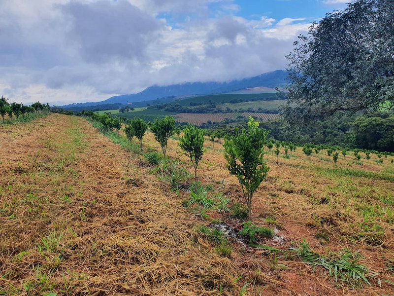 FAZENDA  COM 111 HECTARES EM CARMO DO RIO CLARO, M.G - Carmo do Rio Claro - 
