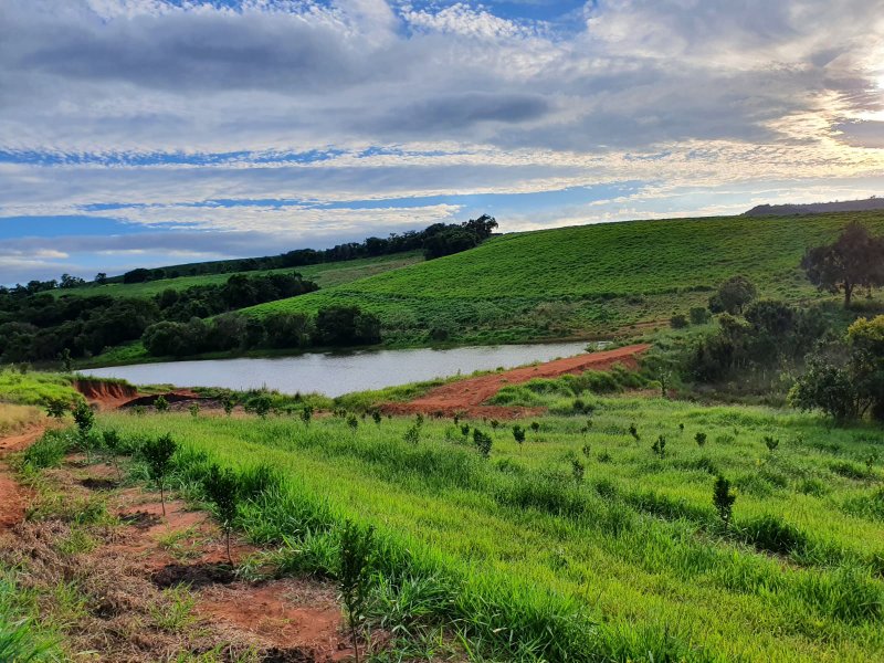 FAZENDA  COM 111 HECTARES EM CARMO DO RIO CLARO, M.G - Carmo do Rio Claro - 