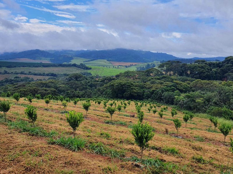 FAZENDA  COM 111 HECTARES EM CARMO DO RIO CLARO, M.G - Carmo do Rio Claro - 
