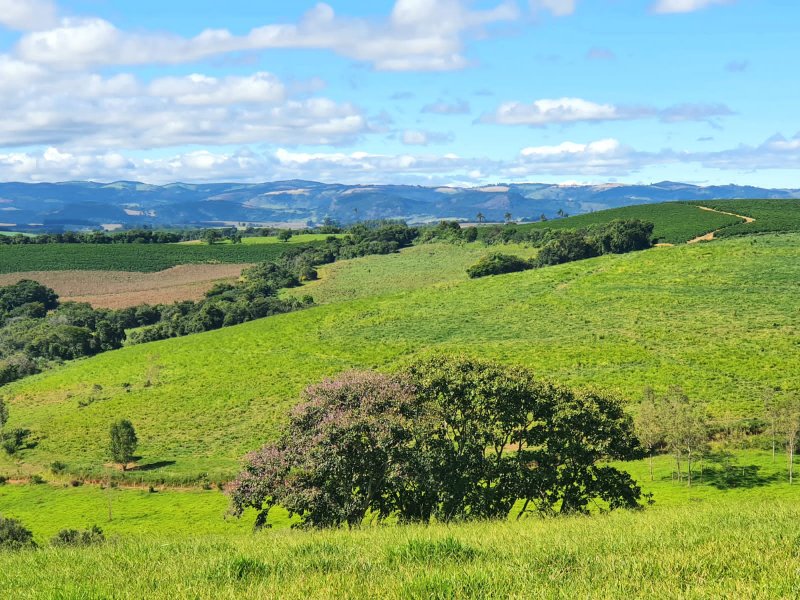 FAZENDA  COM 111 HECTARES EM CARMO DO RIO CLARO, M.G - Carmo do Rio Claro - 