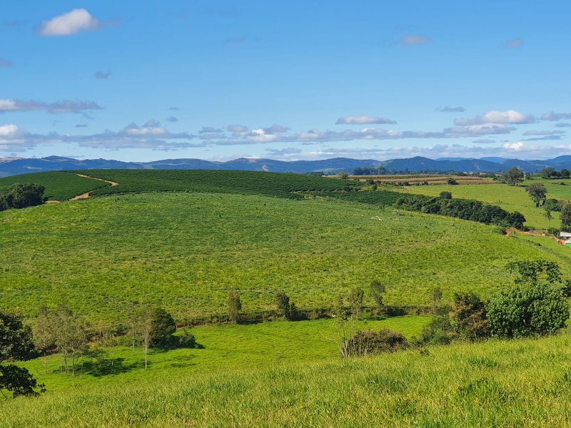 FAZENDA  COM 111 HECTARES EM CARMO DO RIO CLARO, M.G - Carmo do Rio Claro - 