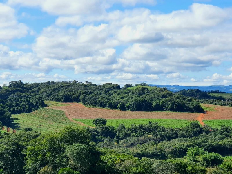 FAZENDA  COM 111 HECTARES EM CARMO DO RIO CLARO, M.G - Carmo do Rio Claro - 