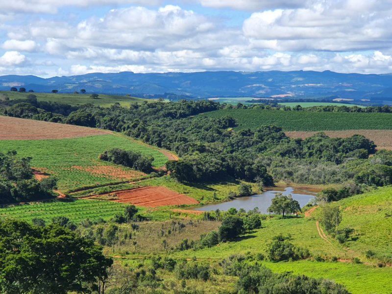 FAZENDA  COM 111 HECTARES EM CARMO DO RIO CLARO, M.G - Carmo do Rio Claro - 
