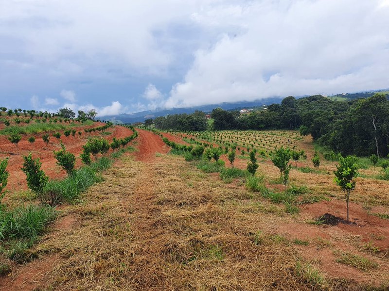 FAZENDA  COM 111 HECTARES EM CARMO DO RIO CLARO, M.G - Carmo do Rio Claro - 