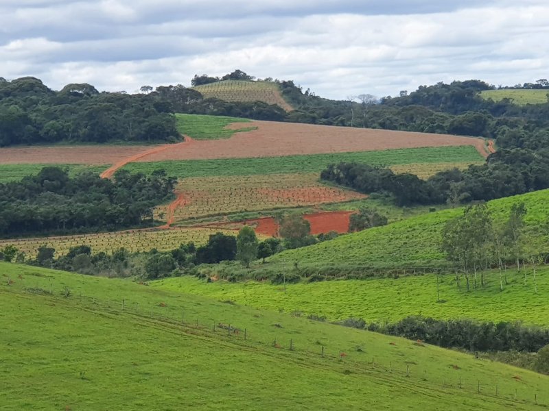 FAZENDA  COM 111 HECTARES EM CARMO DO RIO CLARO, M.G - Carmo do Rio Claro - 