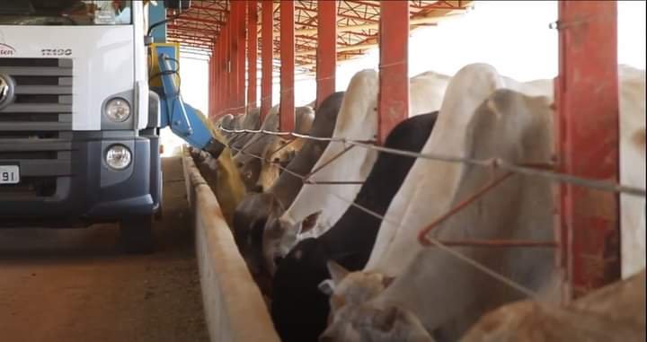 FAZENDA COM 550 ALQUEIRES NA REGIÃO DE VARGEM GRANDE, S.P - Várzea Paulista - 