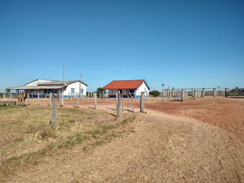 FAZENDA COM 17.125 HECTARES EM ARAGUAIA, TO - ARAGUAINA - 