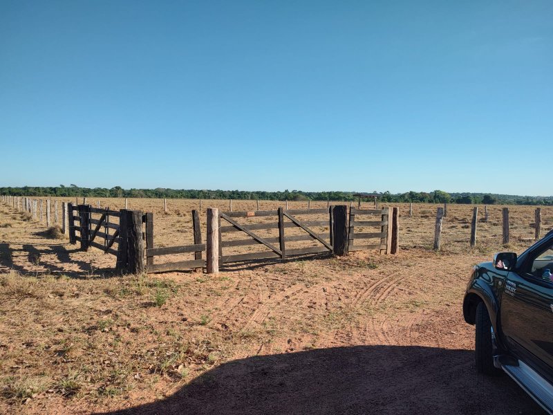 FAZENDA COM 17.125 HECTARES EM ARAGUAIA, TO - ARAGUAINA - 