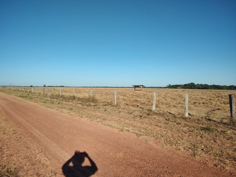 FAZENDA COM 17.125 HECTARES EM ARAGUAIA, TO - ARAGUAINA - 
