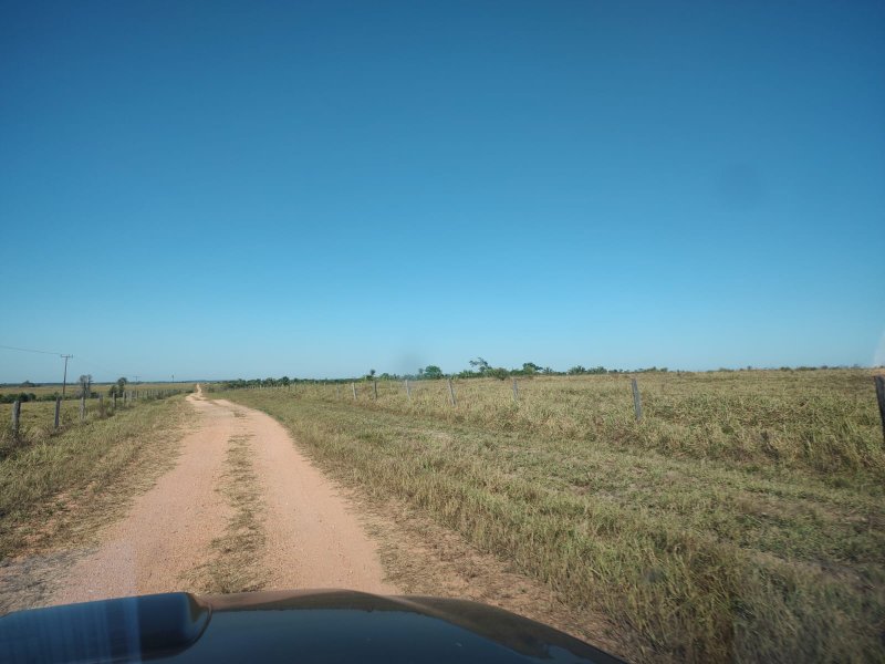 FAZENDA COM 17.125 HECTARES EM ARAGUAIA, TO - ARAGUAINA - 