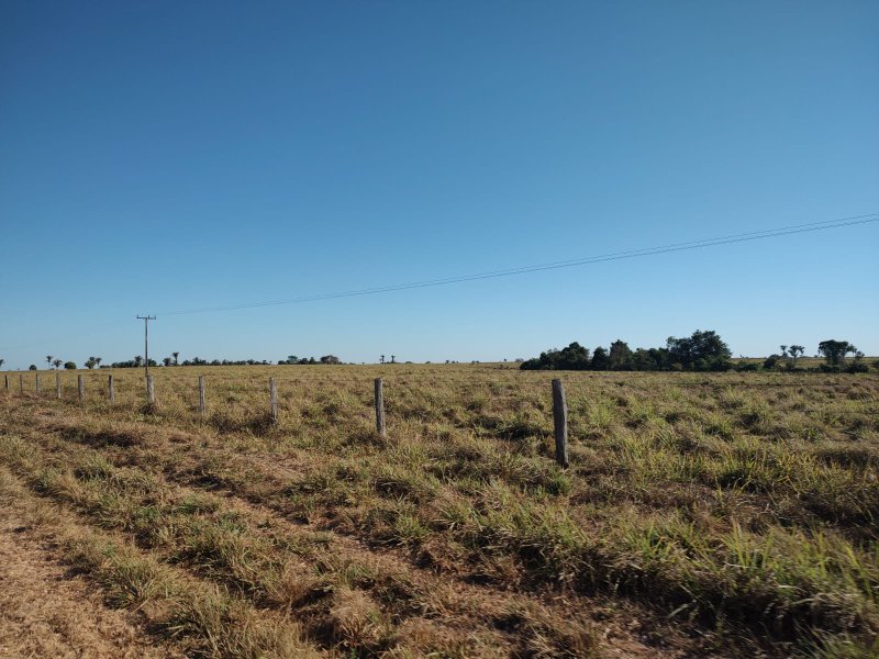 FAZENDA COM 17.125 HECTARES EM ARAGUAIA, TO - ARAGUAINA - 