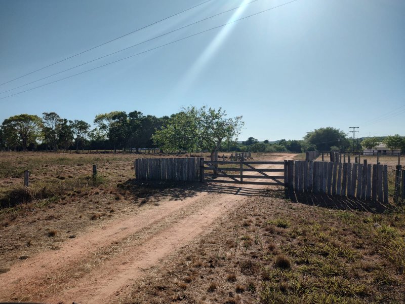 FAZENDA COM 17.125 HECTARES EM ARAGUAIA, TO - ARAGUAINA - 