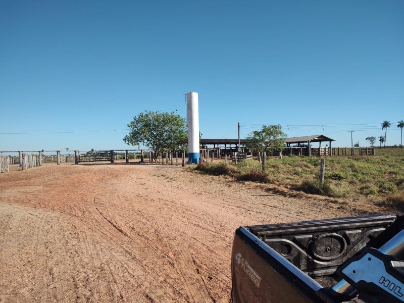 FAZENDA COM 17.125 HECTARES EM ARAGUAIA, TO - ARAGUAINA - 