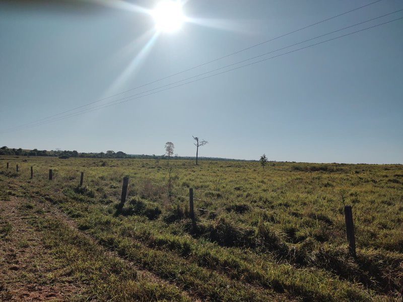 FAZENDA COM 17.125 HECTARES EM ARAGUAIA, TO - ARAGUAINA - 