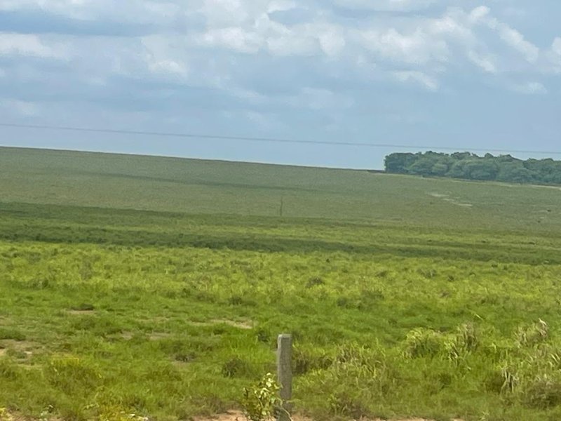 FAZENDA COM 17.125 HECTARES EM ARAGUAIA, TO - ARAGUAINA - 