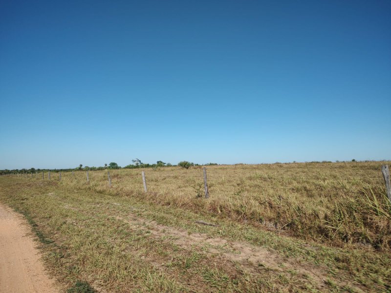 FAZENDA COM 17.125 HECTARES EM ARAGUAIA, TO - ARAGUAINA - 