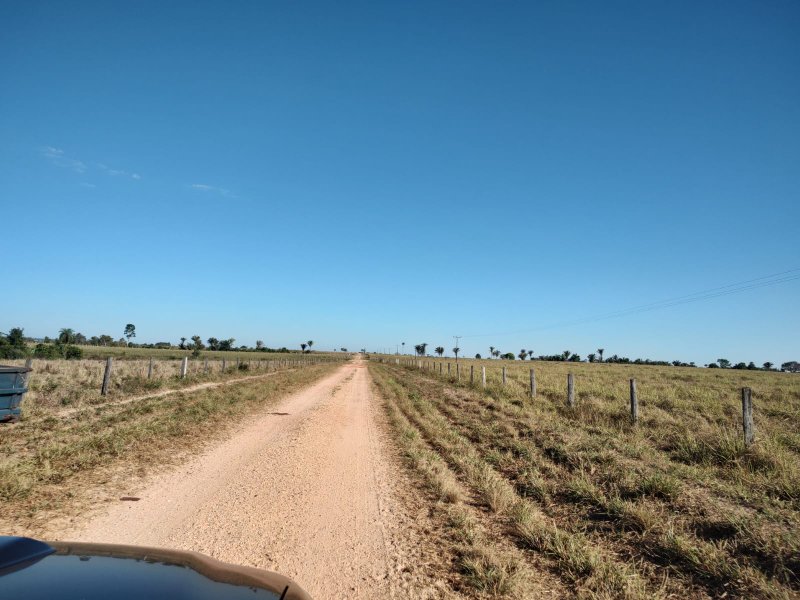 FAZENDA COM 17.125 HECTARES EM ARAGUAIA, TO - ARAGUAINA - 