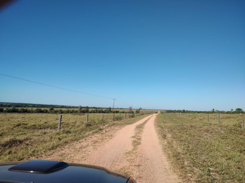 FAZENDA COM 17.125 HECTARES EM ARAGUAIA, TO - ARAGUAINA - 