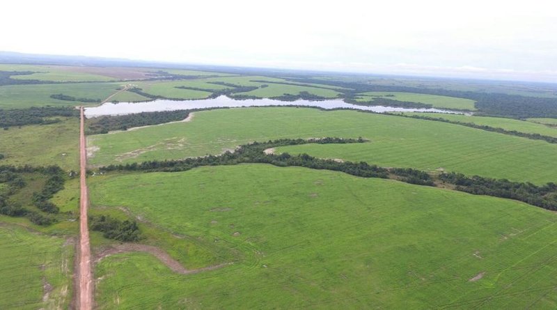 FAZENDA COM 17.125 HECTARES EM ARAGUAIA, TO - ARAGUAINA - 