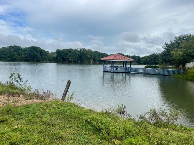 FAZENDA COM 17.125 HECTARES EM ARAGUAIA, TO - ARAGUAINA - 