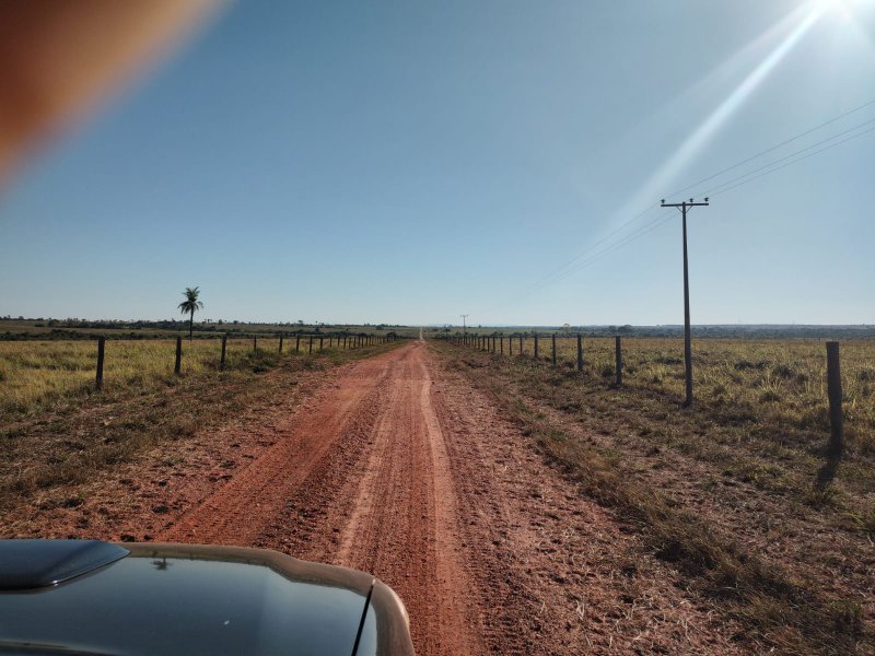 FAZENDA COM 17.125 HECTARES EM ARAGUAIA, TO - ARAGUAINA - 