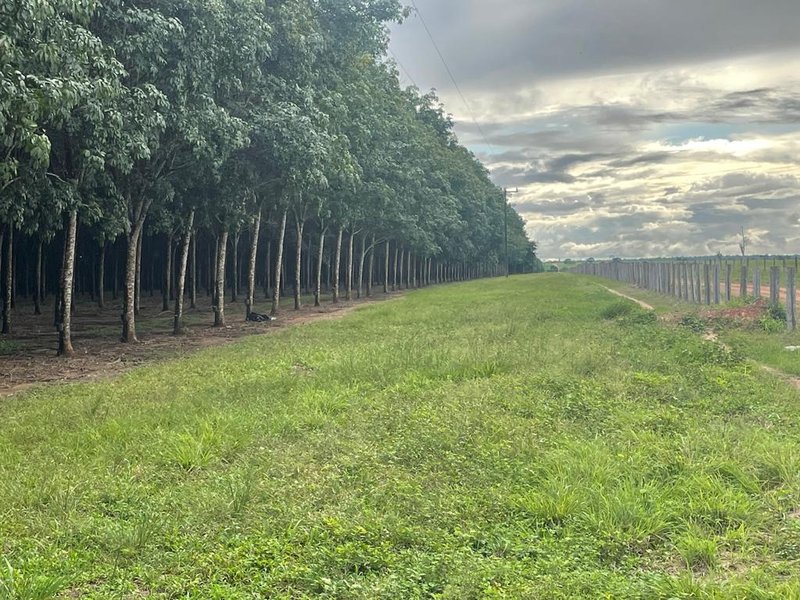 FAZENDA COM 17.125 HECTARES EM ARAGUAIA, TO - ARAGUAINA - 