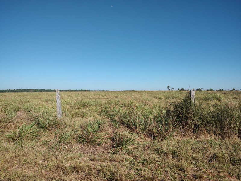 FAZENDA COM 17.125 HECTARES EM ARAGUAIA, TO - ARAGUAINA - 