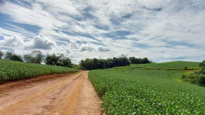 FAZENDA COM 178 HECTARES REGIÃO EM ARIUOCA, M.G - AIURUOCA - 