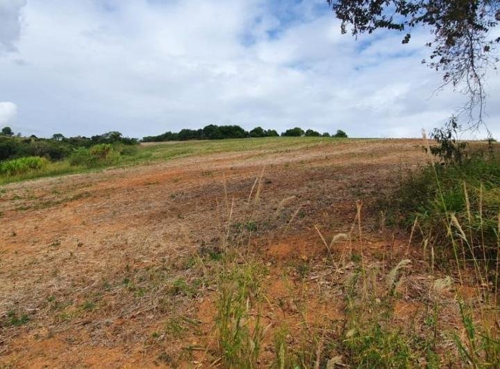 FAZENDA COM 178 HECTARES REGIÃO EM ARIUOCA, M.G - AIURUOCA - 