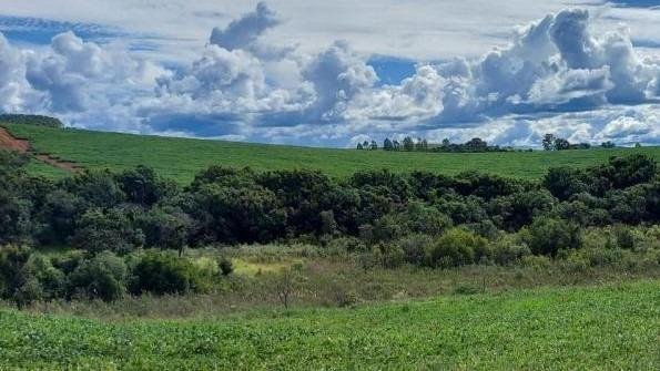 FAZENDA COM 178 HECTARES REGIÃO EM ARIUOCA, M.G - AIURUOCA - 