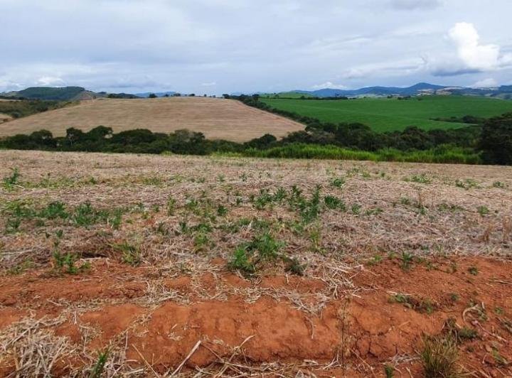 FAZENDA COM 178 HECTARES REGIÃO EM ARIUOCA, M.G - AIURUOCA - 
