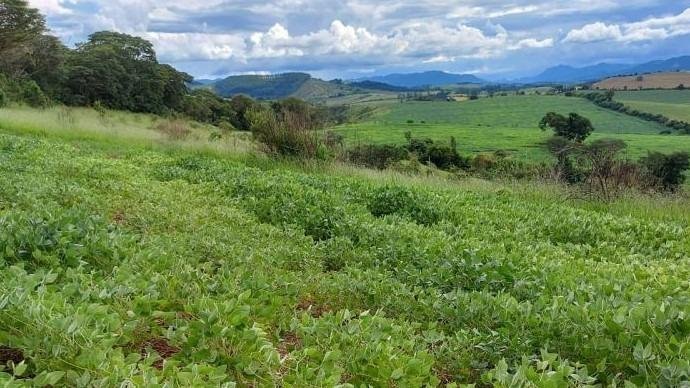 FAZENDA COM 178 HECTARES REGIÃO EM ARIUOCA, M.G - AIURUOCA - 
