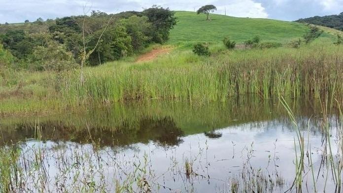 FAZENDA COM 178 HECTARES REGIÃO EM ARIUOCA, M.G - AIURUOCA - 