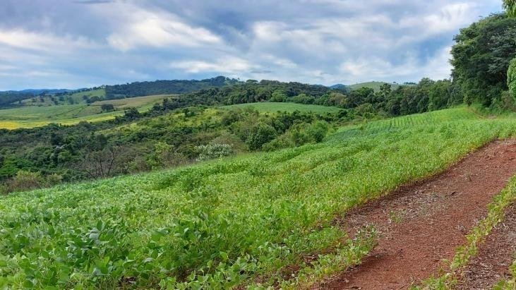 FAZENDA COM 178 HECTARES REGIÃO EM ARIUOCA, M.G - AIURUOCA - 