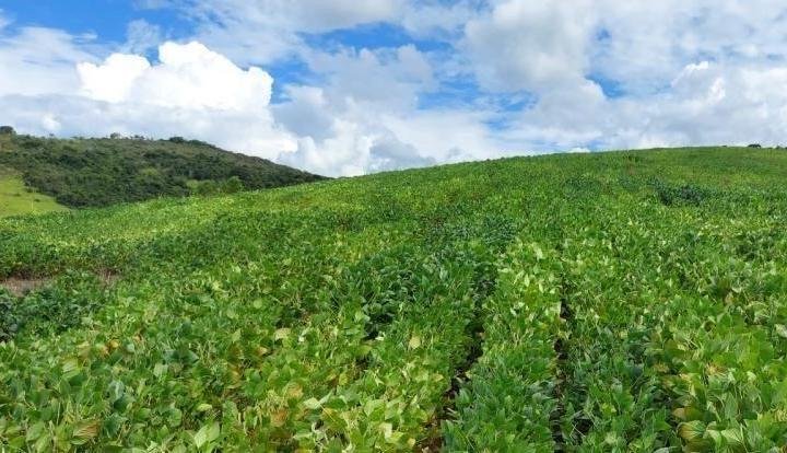 FAZENDA COM 178 HECTARES REGIÃO EM ARIUOCA, M.G - AIURUOCA - 