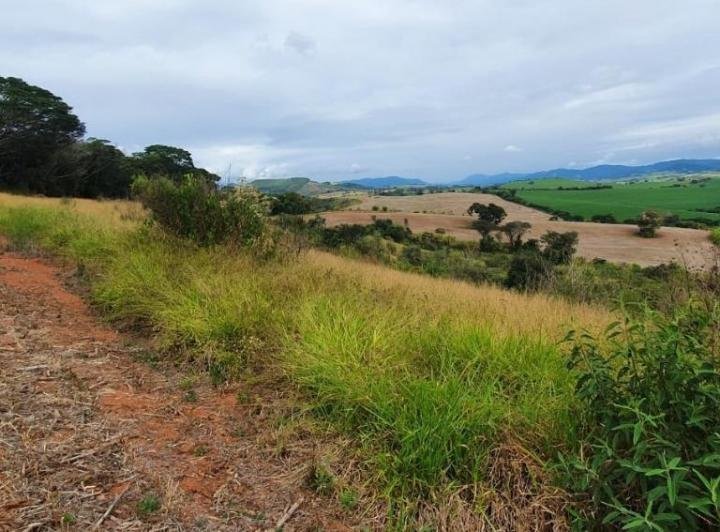 FAZENDA COM 178 HECTARES REGIÃO EM ARIUOCA, M.G - AIURUOCA - 